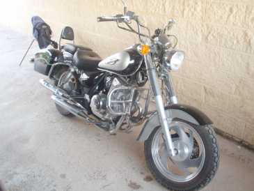 Foto: Sells Motorbike 125 cc - JINLUN 125 CRUISER - JINLUN 125 CRUISER