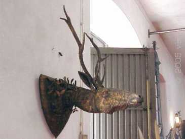 Foto: Sells Sculpture CABECA DE VENADO DE HIERRO UNICA