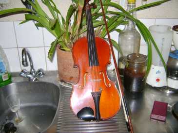 Foto: Sells Guitarra e instrumento da corda THIBOUVILLE - VIOLON