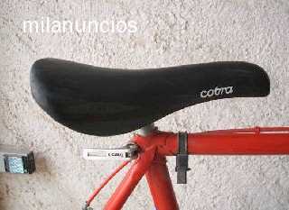 Foto: Sells Bicicleta CITROEN - RIEJU
