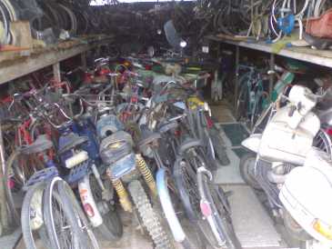 Foto: Sells Bicicleta MISTE