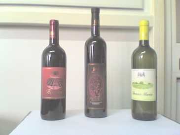 Foto: Sells Vinhos