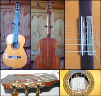 Foto: Sells Guitarra e instrumento da corda ANASTASIO - UNIQUE