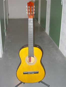 Foto: Sells Guitarra e instrumento da corda