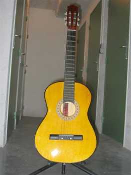 Foto: Sells Guitarra e instrumento da corda