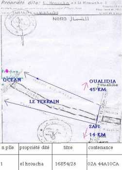 Foto: Sells Terra 24 000 m2