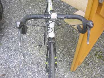 Foto: Sells Bicicleta GO SPORT  SPEGO 130 T58 - SPEGO 130