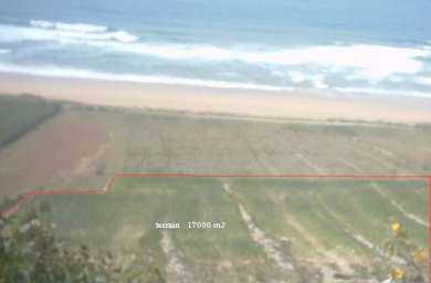 Foto: Sells Terra 17 000 m2