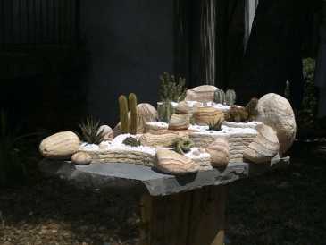 Foto: Sells Escudos, fossil e pedra JARDIN EXOTIQUE ARIDE MEXICAIN DE SALON.PIECE UNIQ