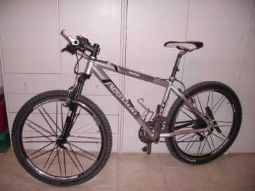 Foto: Sells Bicicleta SPORTSPECIALIST