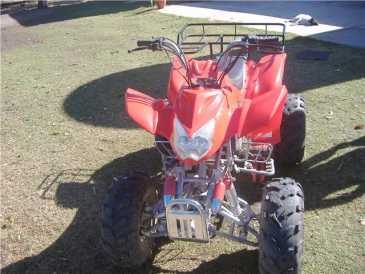 Foto: Sells Mopeds, minibike 200 cc - WARRIOS - 200CCC