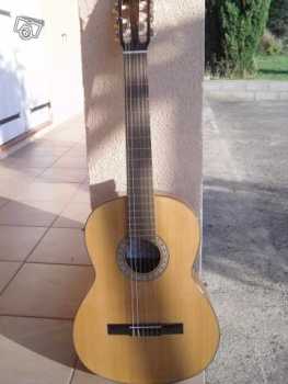 Foto: Sells Guitarra e instrumento da corda ELYPSE