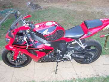 Foto: Sells Motorbike 900 cc - HONDA - CBR RR FIRE BLADE