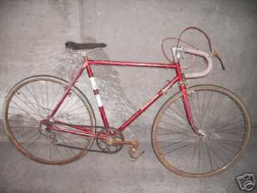 Foto: Sells Bicicleta SANS