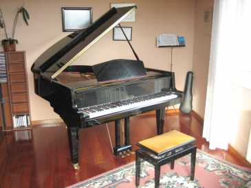 Foto: Sells Piano e synthetizer CALISIA