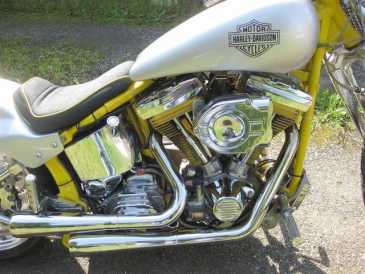 Foto: Sells Motorbike 1340 cc - HARLEY-DAVIDSON - SOFTAIL CUSTOM