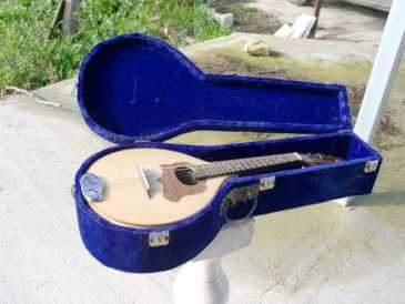 Foto: Sells Guitarra e instrumento da corda LIUTERIA ARTIGIANALE - MANDOLINO STILE PORTOGHESE