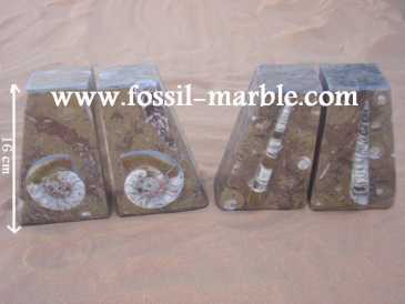 Foto: Sells Decoração BOOKENDS FOSSILS AND FOSSILIZED MARBLE RISSANI - BOOKENDS FOSSILS AND FOSSILIZED MARBLE ERFOUD
