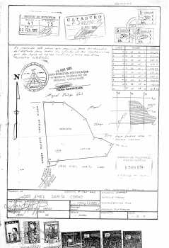 Foto: Sells Terra 222 m2