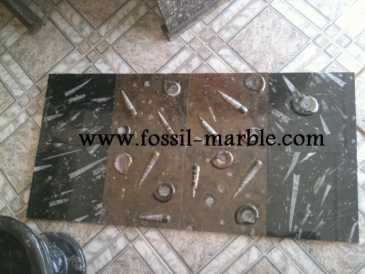 Foto: Sells Decoração BLACK SLAB FOSSILIZED MARBLE MOROCCO - BLACK FOSSILIZED MARBLE MOROCCO
