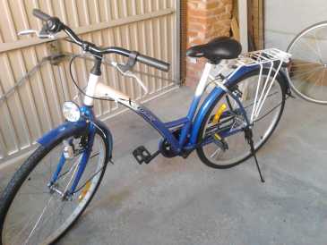 Foto: Sells Bicicleta X TRACT