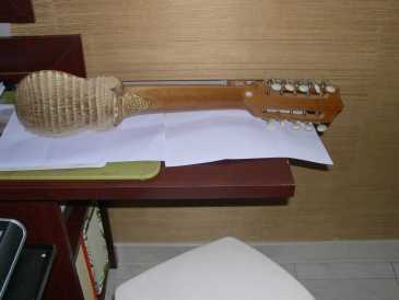 Foto: Sells Guitarra e instrumento da corda ARTISAN WORK - 10 STRING MANDOLIN