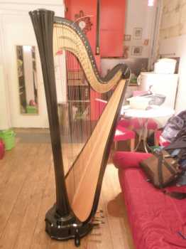 Foto: Sells Instrumento da música HARPE AURORA SALVI - SALVI