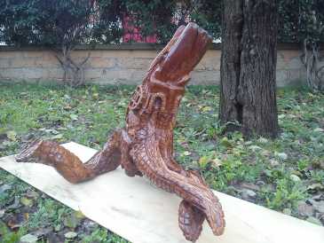 Foto: Sells Sculpture Madeira