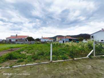 Foto: Sells Terra 513 m2