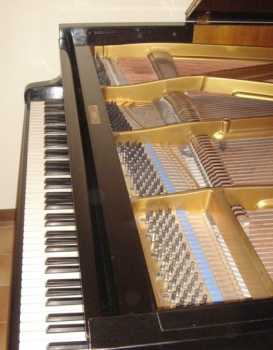 Foto: Sells Instrumento da música BLUTHNER - PIANOFORTE A MEZZA CODA