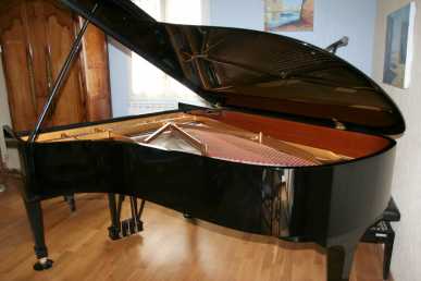 Foto: Sells Piano e synthetizer STEINWAY - B