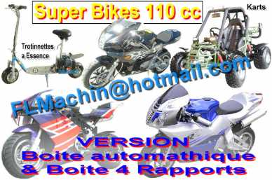 Foto: Sells Mopeds, minibike 110 cc - LEN