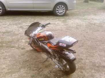 Foto: Sells Mopeds, minibike 50 cc - TNT PISTA FLAMMING - POCKET PISTA FLAMMING 2007