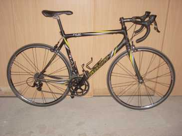 Foto: Sells Bicicleta GIANT - GIANT TRC HYBRID