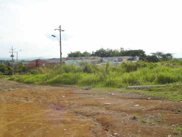 Foto: Sells Terra 9 500 m2