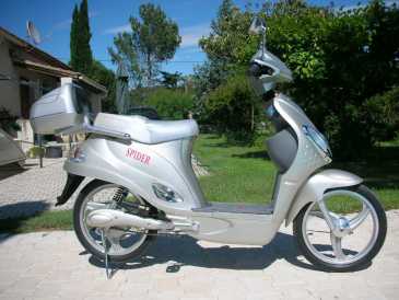 Foto: Sells Scooter 4847 cc - SPIDER ELECTRIQUE