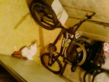 Foto: Sells Bicicleta BMX