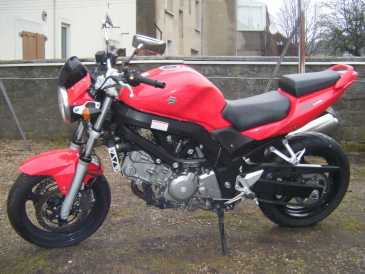 Foto: Sells Motorbike 650 cc - SUZUKI - SV