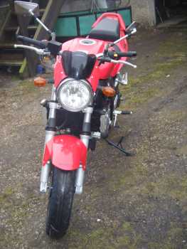 Foto: Sells Motorbike 650 cc - SUZUKI - SV