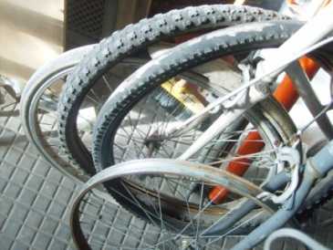 Foto: Sells Bicicletas BIANCHI - BIANCHI
