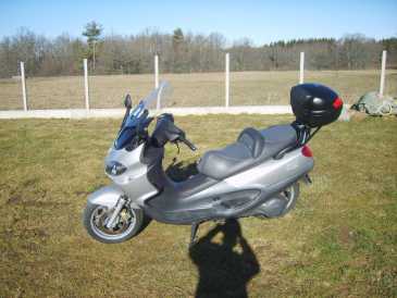 Foto: Sells Scooter 500 cc - PIAGGIO - PIAGGIO X9 500