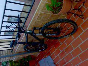Foto: Sells Bicicleta ORBEA - SHAPYR
