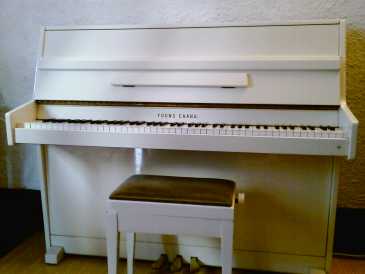 Foto: Sells Piano e synthetizer