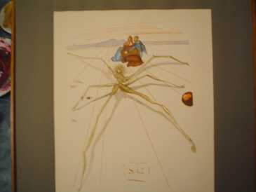 Foto: Sells Pintura e desenho SALVADOR DALI  ARACNE  CANTO 17 PURGATORIO