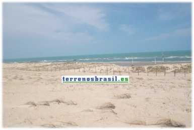 Foto: Sells Terra 230 000 m2