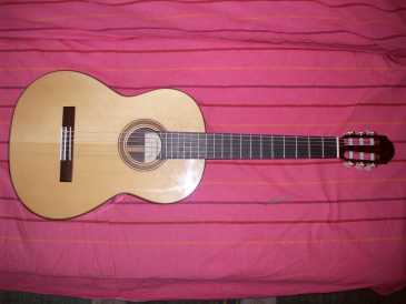 Foto: Sells Guitarra e instrumento da corda CASTELLUCCIA - G8