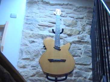 Foto: Sells Guitarra e instrumento da corda POZZO - ELECTROACOUSTIQUE