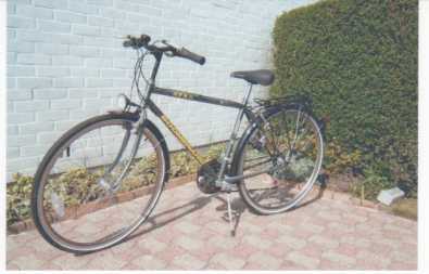 Foto: Sells Bicicleta BOOGMERANG - VELO