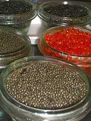 Foto: Sells Gastronomy e cozinhar CAVIAR